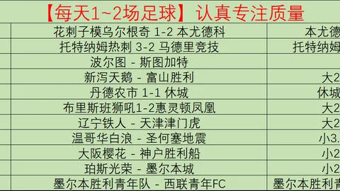 印尼荣耀：小赖因德斯的自豪之旅